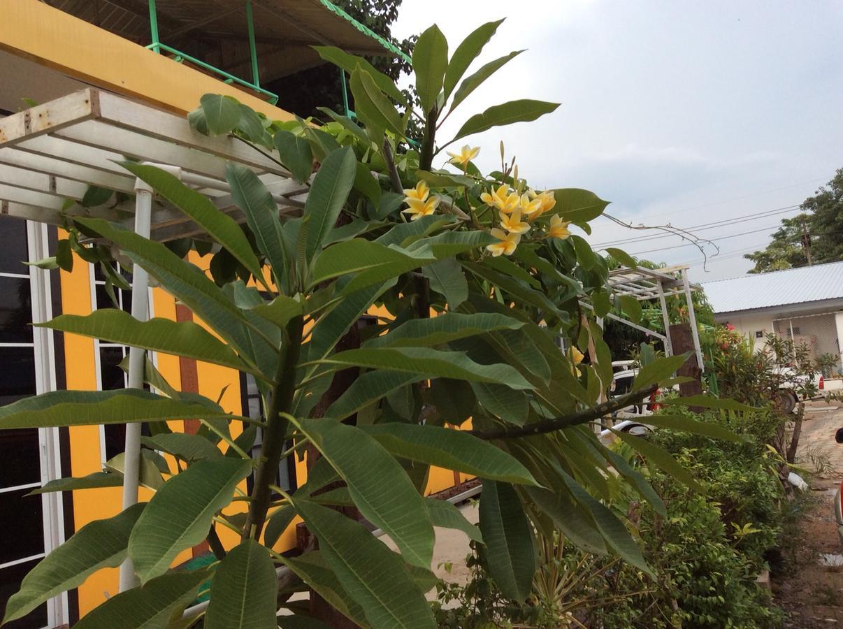 The Point At Airport Aparthotel Nai Yang Ngoại thất bức ảnh